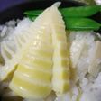塩が決め手♪筍の塩炊込みご飯【筍三昧8】