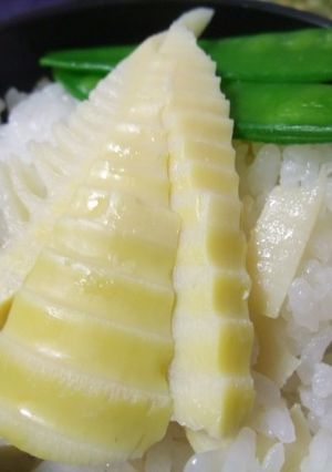 塩が決め手♪筍の塩炊込みご飯【筍三昧８】-レシピのメイン写真