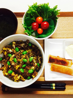 簡単！そぼろ丼！-レシピのメイン写真