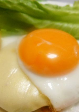鶏ミンチの親子ハンバーグ-レシピのメイン写真