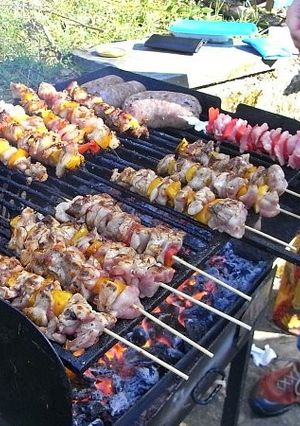 見た目鮮やか！超簡単・パプリカ＆焼き鳥-レシピのメイン写真