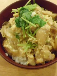 おやこどん-レシピのメイン写真
