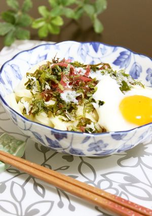 さっぱり♥海藻サラダ温玉うどん-レシピのメイン写真