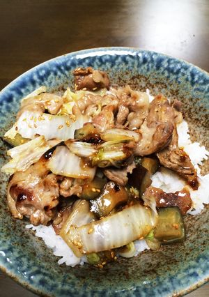 豚肉と白菜と茄子の甘ダレ丼-レシピのメイン写真