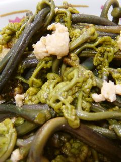 わらびと鶏ひき肉の煮もの-レシピのメイン写真