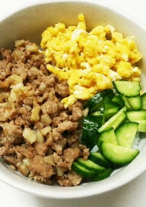 節約そぼろ丼②-レシピのメイン写真