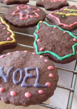 チョコレートスパイスクッキー-レシピのメイン写真