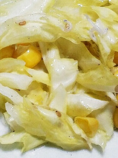 簡単⭐さっぱりキャベツサラダ-レシピのメイン写真