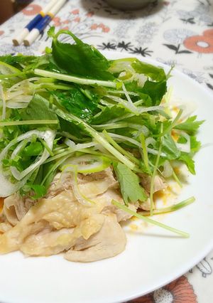 茹で鶏の香味サラダ-レシピのメイン写真