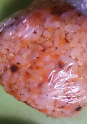 おにぎりメモ*にんじんおかか-レシピのメイン写真