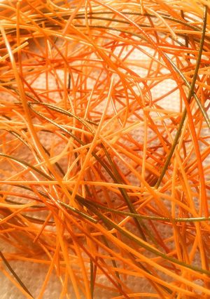 パリパリそうめん-レシピのメイン写真