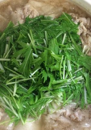 極薄豚肉のハリハリ鍋-レシピのメイン写真
