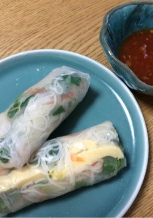 ベトナム風素麺入り生春巻き-レシピのメイン写真
