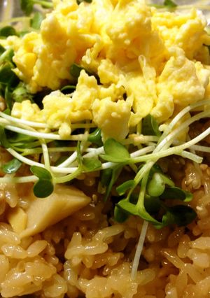 入れて炊くだけ♪鶏とたけのこの炊き込み飯-レシピのメイン写真