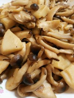 筍ときのこのオイスターソース炒め-レシピのメイン写真
