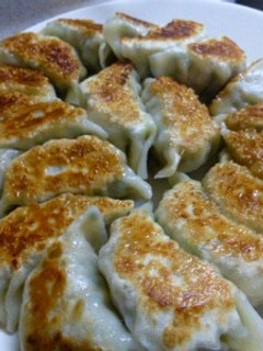 我が家の餃子、黄金比!-レシピのメイン写真