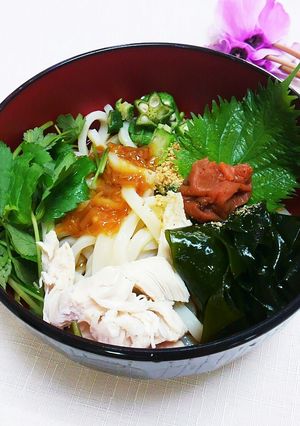 ●○涼味満点○●　ぶっかけ酢うどん-レシピのメイン写真