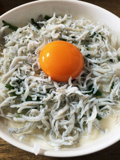 お昼ご飯におススメ!山かけ(生)しらす丼-レシピのメイン写真