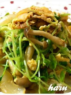 豆苗としめじのオイマヨ炒め-レシピのメイン写真