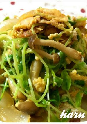 豆苗としめじのオイマヨ炒め-レシピのメイン写真