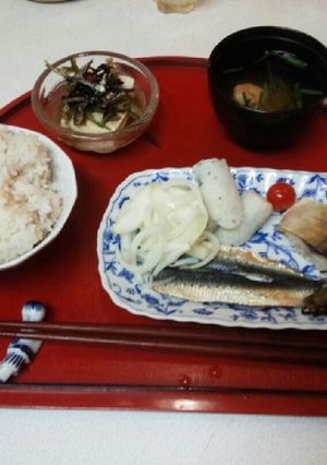 血管ダイエット食276（自家製高野豆腐）-レシピのメイン写真