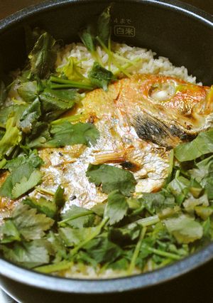 連子鯛(キダイ)飯-レシピのメイン写真