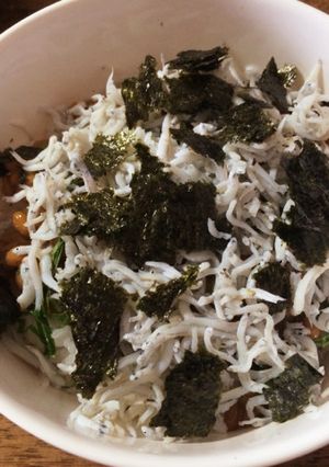 納豆生しらす丼-レシピのメイン写真