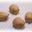 天然酵母の「うり坊パン」