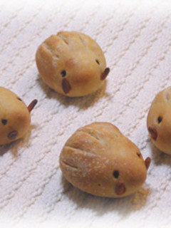 天然酵母の「うり坊パン」-レシピのメイン写真