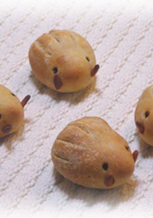 天然酵母の「うり坊パン」-レシピのメイン写真