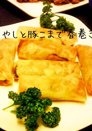 節約♪もやし1袋&豚コマでもやし春巻き-レシピのメイン写真