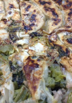ココナッツオイルで野菜たっぷり餃子-レシピのメイン写真