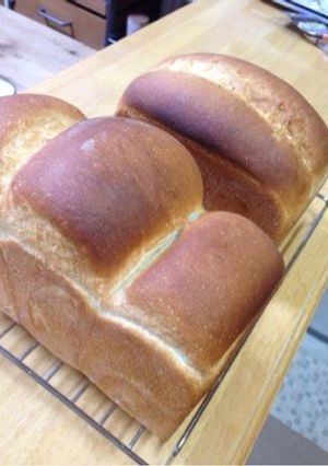 ドライイーストで作るイギリスパン-レシピのメイン写真