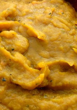 春野菜の重ね煮ペースト-レシピのメイン写真