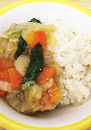 脱ステ☆アトピー改善野菜あんかけ丼-レシピのメイン写真
