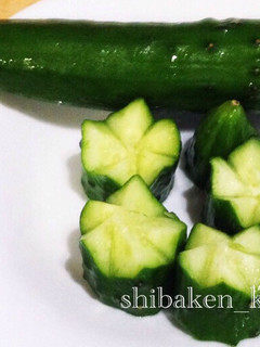 人気☆簡単花きゅうり飾り切りカットお弁当-レシピのメイン写真