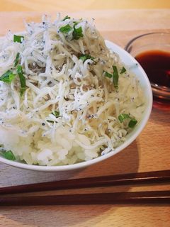 【静岡名物】大盛り釜揚げしらす丼-レシピのメイン写真