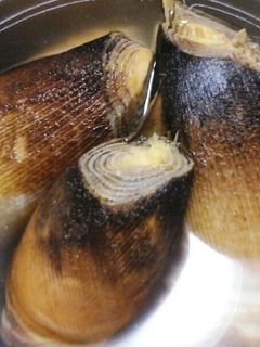 ひと手間で美味しいタケノコの茹で方-レシピのメイン写真