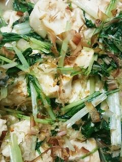 簡単☆豆腐と水菜の炒め物-レシピのメイン写真