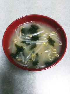 海苔ともやしの味噌汁-レシピのメイン写真