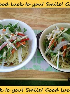 サラダ冷やし中華~っ♪(*‾∇‾)ノ♪-レシピのメイン写真