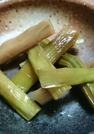 ウドの一夜漬け（定番・激旨）-レシピのメイン写真