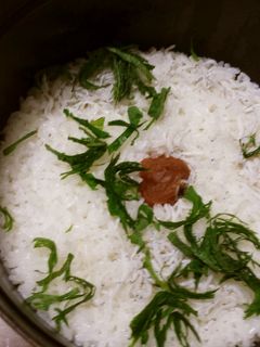 さっぱり梅しそご飯-レシピのメイン写真