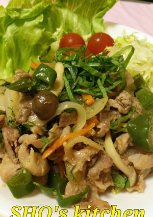 野菜もお肉も！さっぱり大人味しょうが焼き-レシピのメイン写真