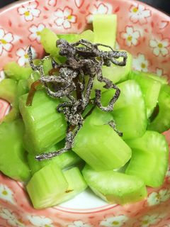 セロリの浅漬け-レシピのメイン写真