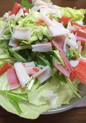 簡単テキトー☆レタス水菜キャベツのサラダ-レシピのメイン写真