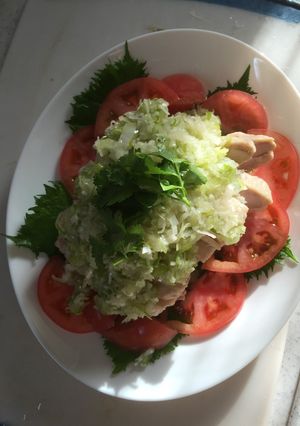 蒸し鶏肉-レシピのメイン写真