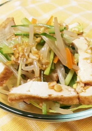 もやしと厚揚げの中華サラダ-レシピのメイン写真