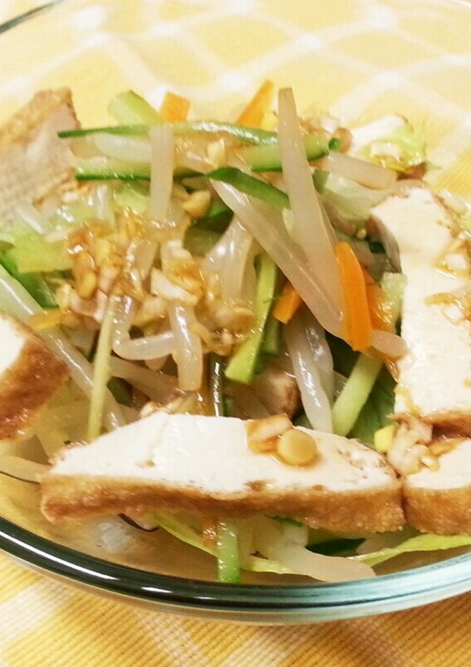もやしと厚揚げの中華サラダ-レシピのメイン写真