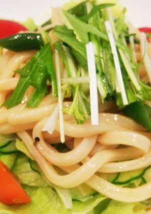 暑い日のお昼に☆さっぱりサラダうどん☆-レシピのメイン写真